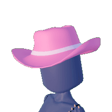 Cowboy Hat Toggle 1
